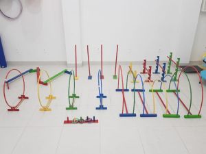 Circuito Psicomotor
