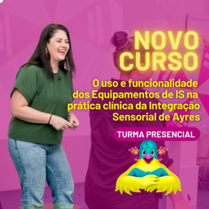 O uso e funcionalidade dos Equipamentos de IS na prática clínica da Integração Sensorial de Ayres